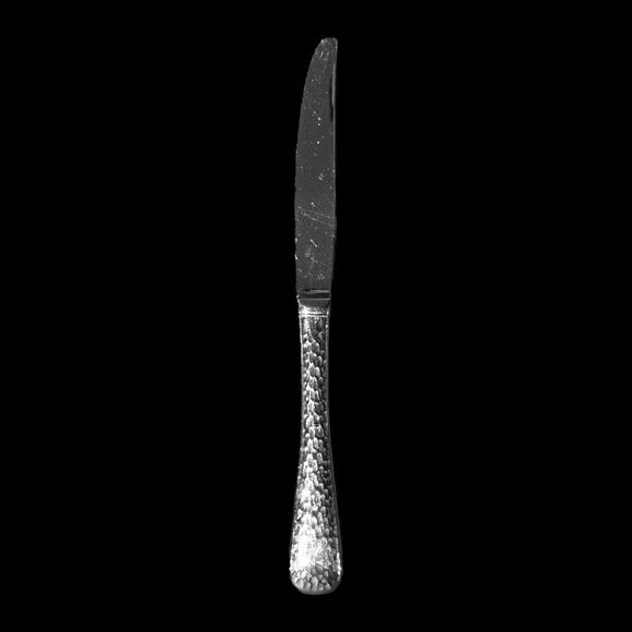 Oneida 18/10 Stainless Steel Cabria 1-Pc. Flatware Replacement Dinner Knife - Picture 1 of 1